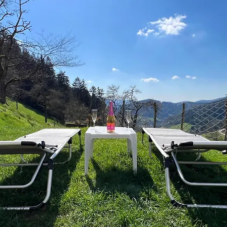 Loft Mit Whirlpool & Fass-sauna Im Schwarzwald *