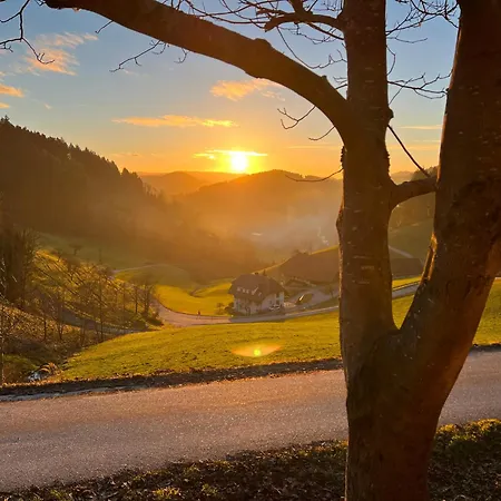 Loft Mit Whirlpool & Fass-sauna Im Schwarzwald