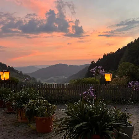 Loft Mit Whirlpool & Fass-sauna Im Schwarzwald Apartamento Neuenbach