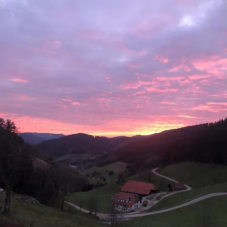 Loft Mit Whirlpool & Fass-sauna Im Schwarzwald Apartamento Neuenbach