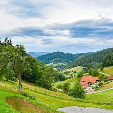 Loft Mit Whirlpool & Fass-sauna Im Schwarzwald *