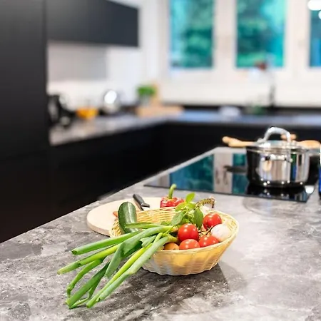 Apartamento Loft Mit Whirlpool & Fass-sauna Im Schwarzwald