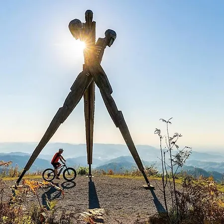Loft Mit Whirlpool & Fass-sauna Im Schwarzwald
