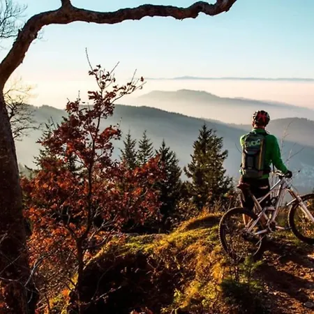 Apartamento Loft Mit Whirlpool & Fass-sauna Im Schwarzwald