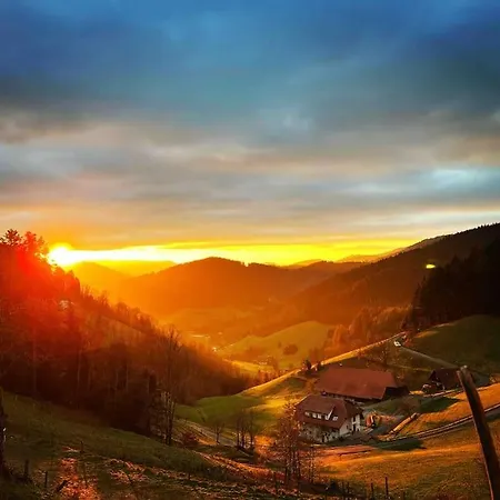 Loft Mit Whirlpool & Fass-sauna Im Schwarzwald *