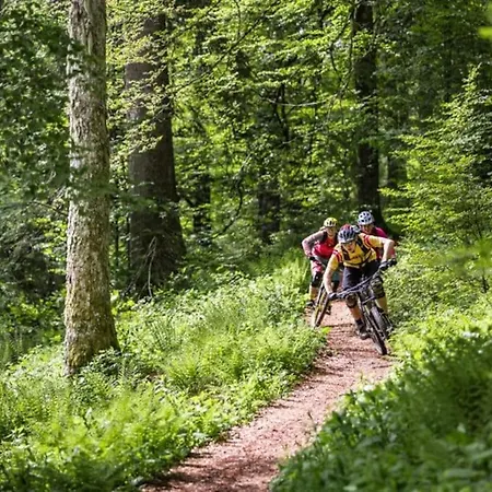Loft Mit Whirlpool & Fass-sauna Im Schwarzwald