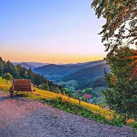 Loft Mit Whirlpool & Fass-sauna Im Schwarzwald Apartamento *