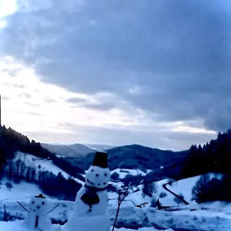 Loft Mit Whirlpool & Fass-sauna Im Schwarzwald Neuenbach