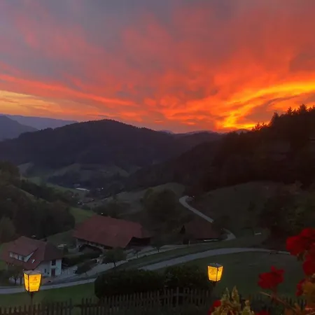 Loft Mit Whirlpool & Fass-sauna Im Schwarzwald *