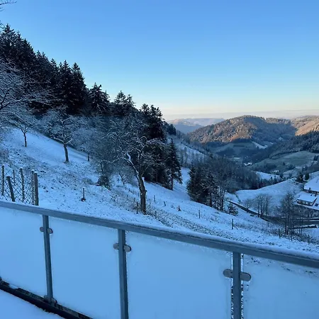 Loft Mit Whirlpool & Fass-sauna Im Schwarzwald * Neuenbach